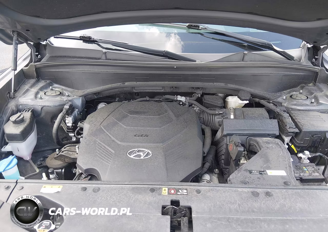 2022 Hyundai Palisade Calligraphy VIN:KM8R7DHEXNU392944 - 10