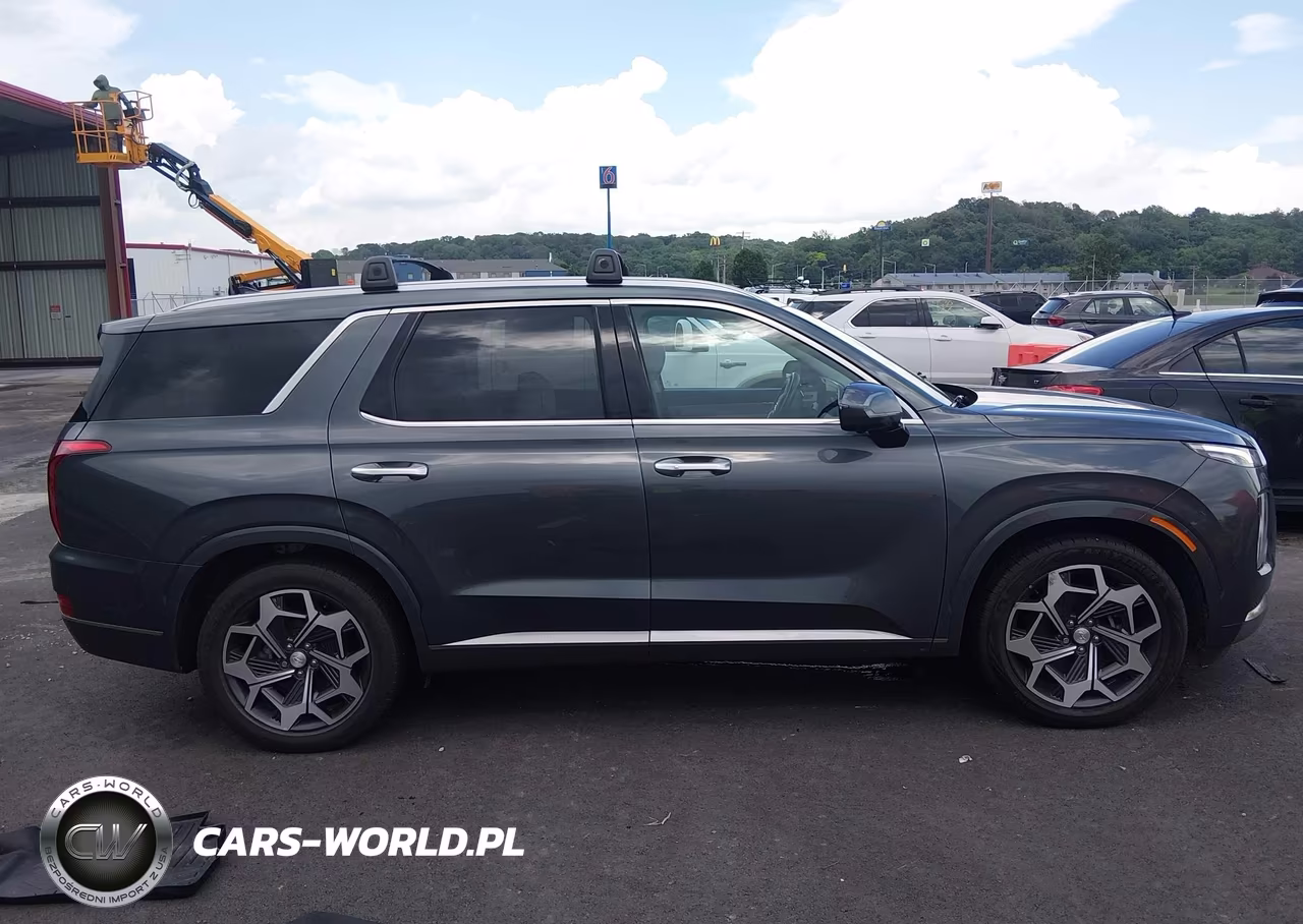 2022 Hyundai Palisade Calligraphy VIN:KM8R7DHEXNU392944 - 13