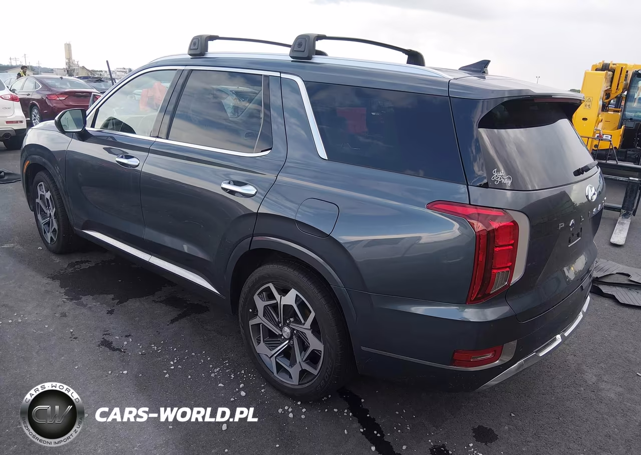 2022 Hyundai Palisade Calligraphy VIN:KM8R7DHEXNU392944 - 3