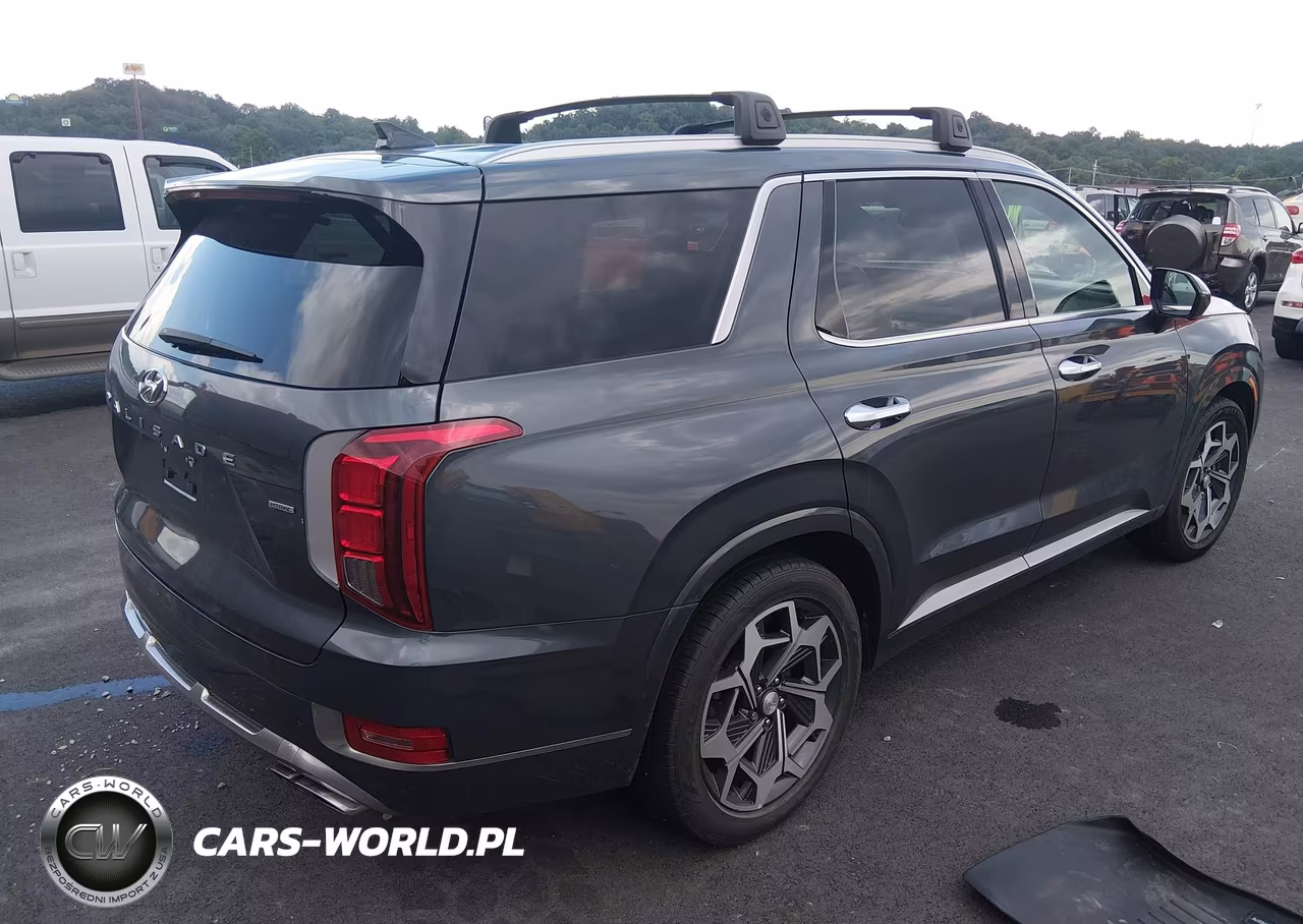 2022 Hyundai Palisade Calligraphy VIN:KM8R7DHEXNU392944 - 4