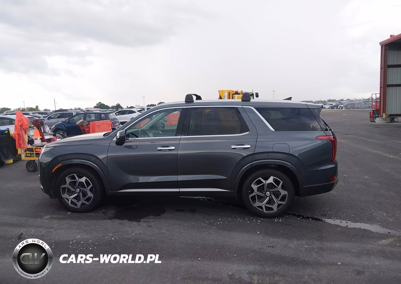 2022 Hyundai Palisade Calligraphy VIN:KM8R7DHEXNU392944 - 6