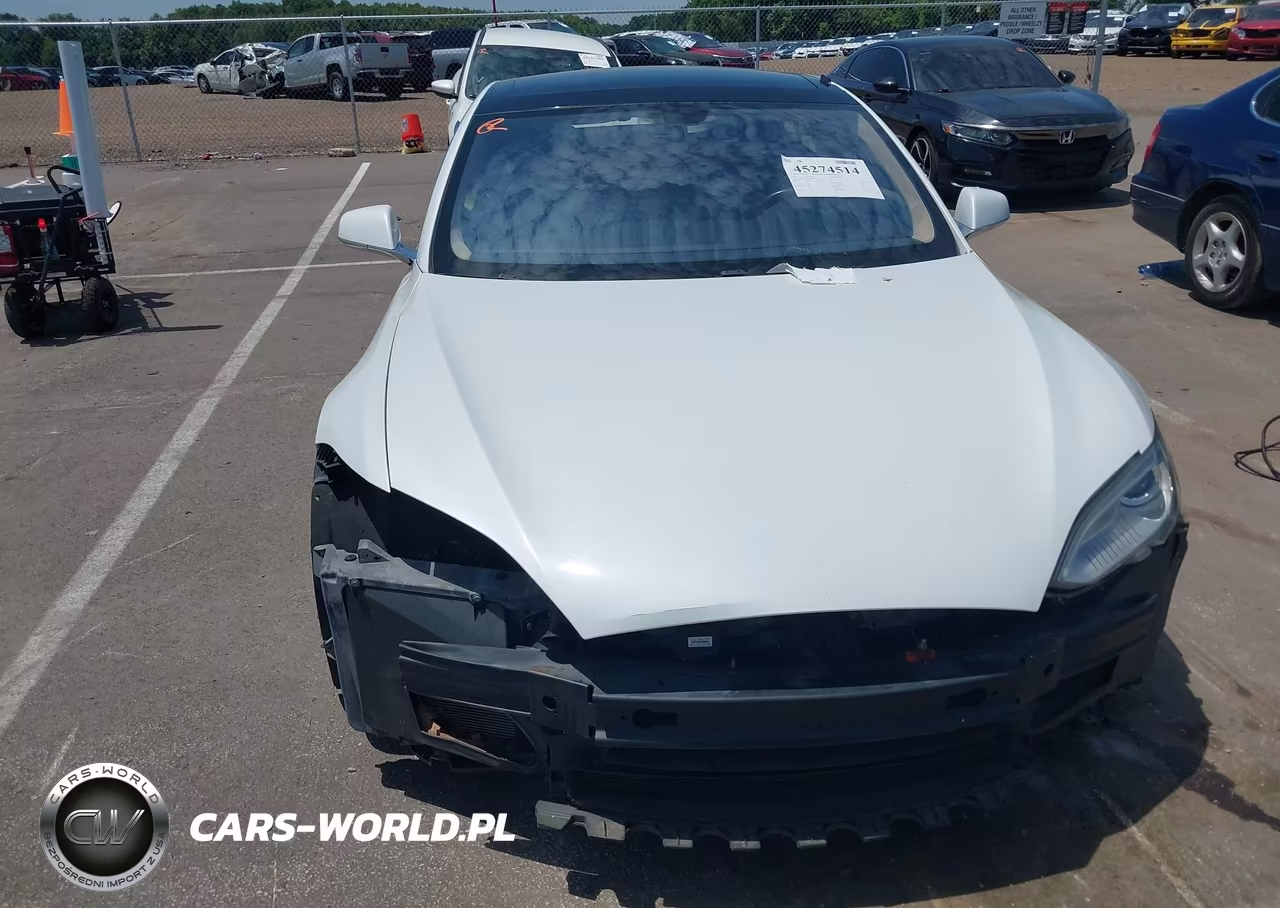 2013 Tesla Model S Performance VIN:5YJSA1DP6DFP11566 - 13