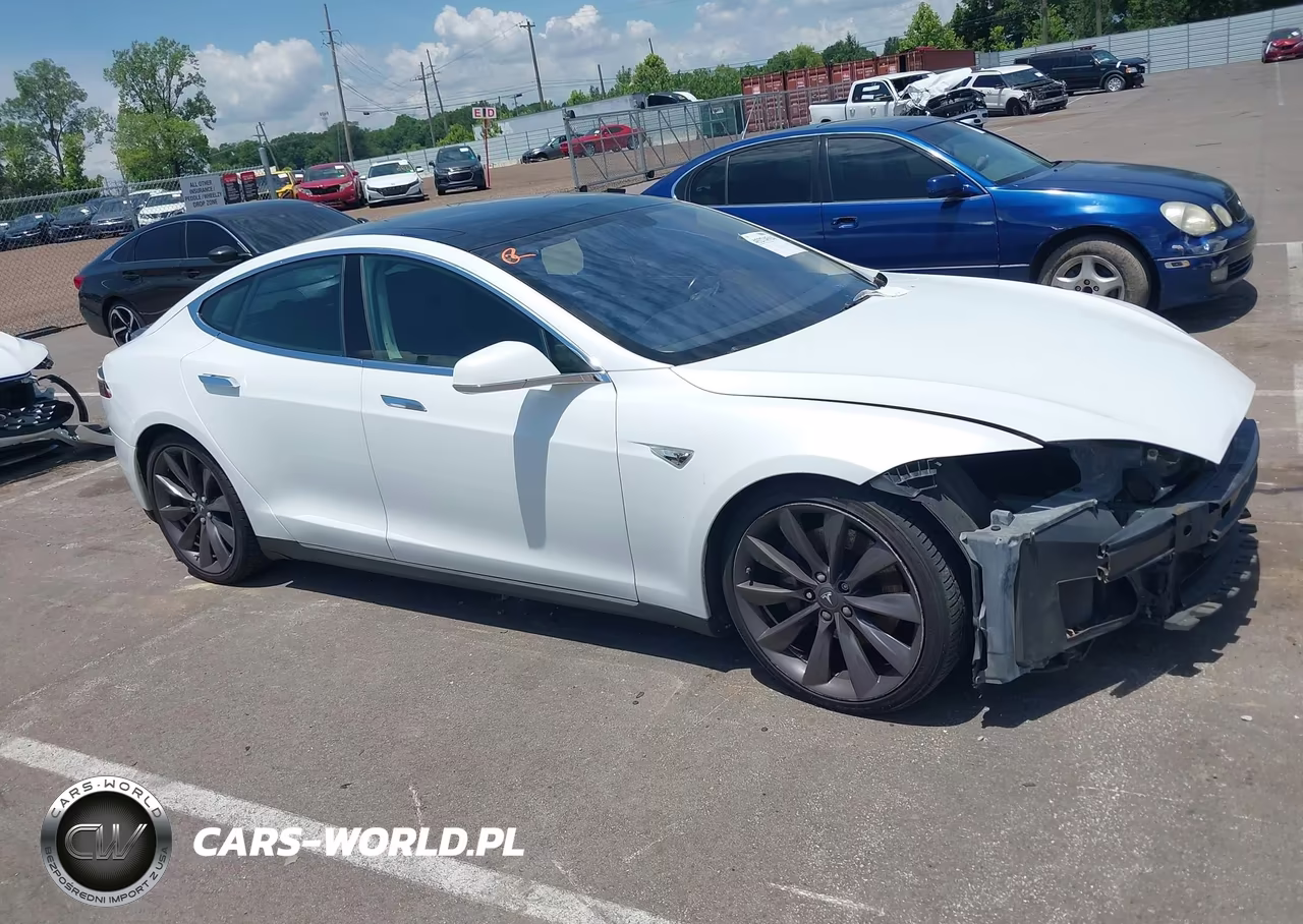 2013 Tesla Model S Performance VIN:5YJSA1DP6DFP11566 - 14
