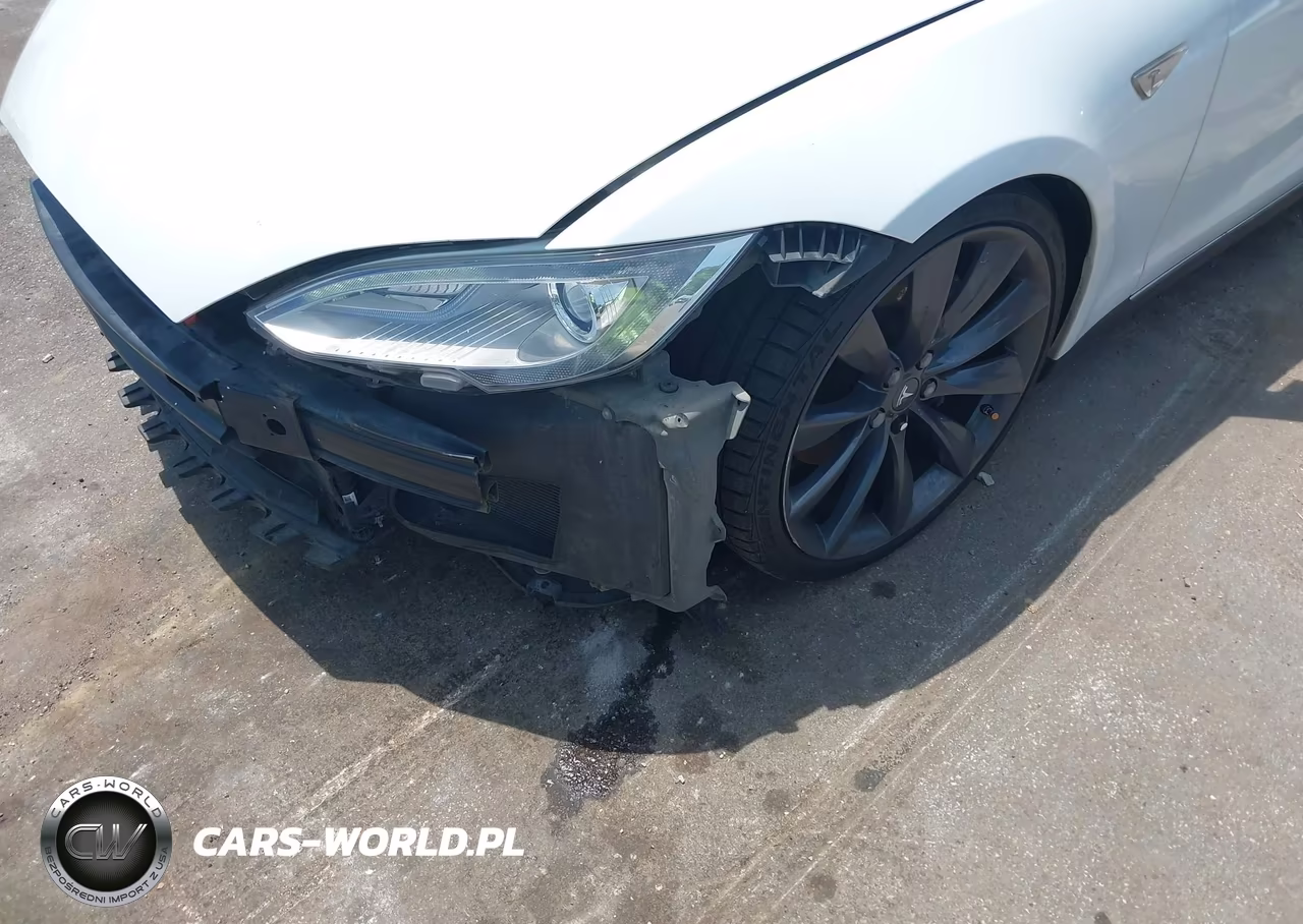 2013 Tesla Model S Performance VIN:5YJSA1DP6DFP11566 - 20