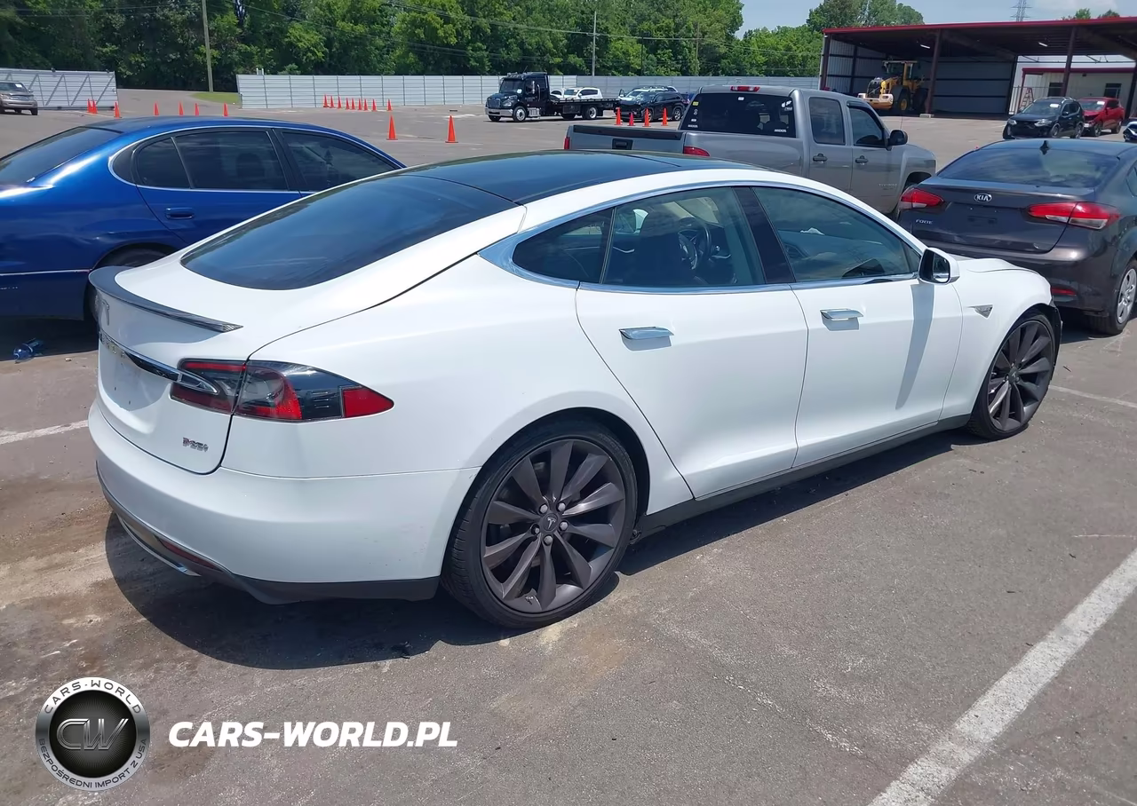 2013 Tesla Model S Performance VIN:5YJSA1DP6DFP11566 - 4