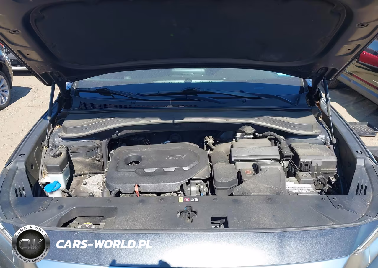 2020 Hyundai Santa Fe Sel VIN:5NMS3CAD6LH237986 - 10