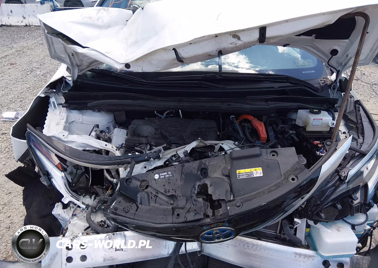 2024 Toyota Sienna Xse VIN:5TDDSKFC8RS151784 - 10