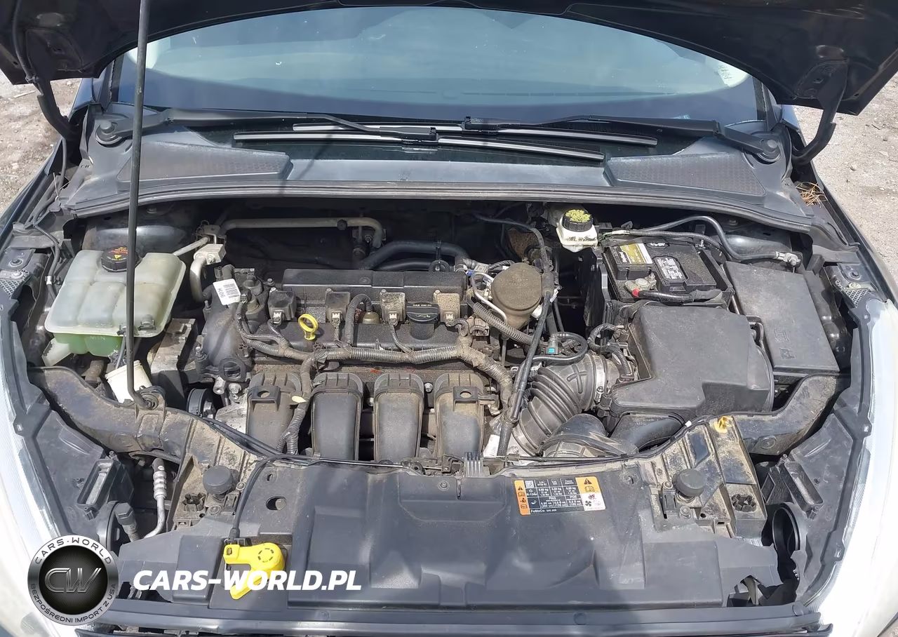 2015 Ford Focus Se VIN:1FADP3F27FL296347 - 10