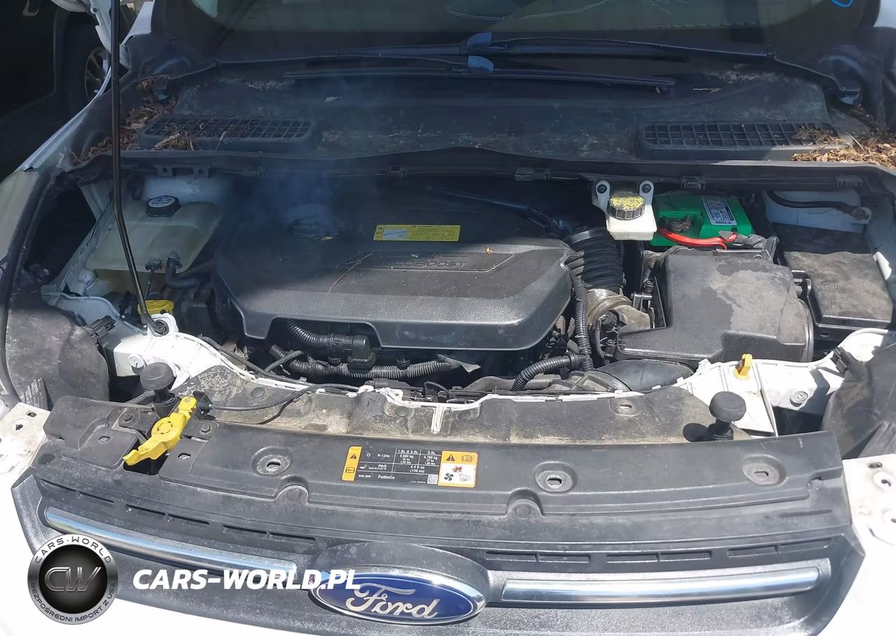 2014 Ford Escape Se VIN:1FMCU0GX6EUB29232 - 10