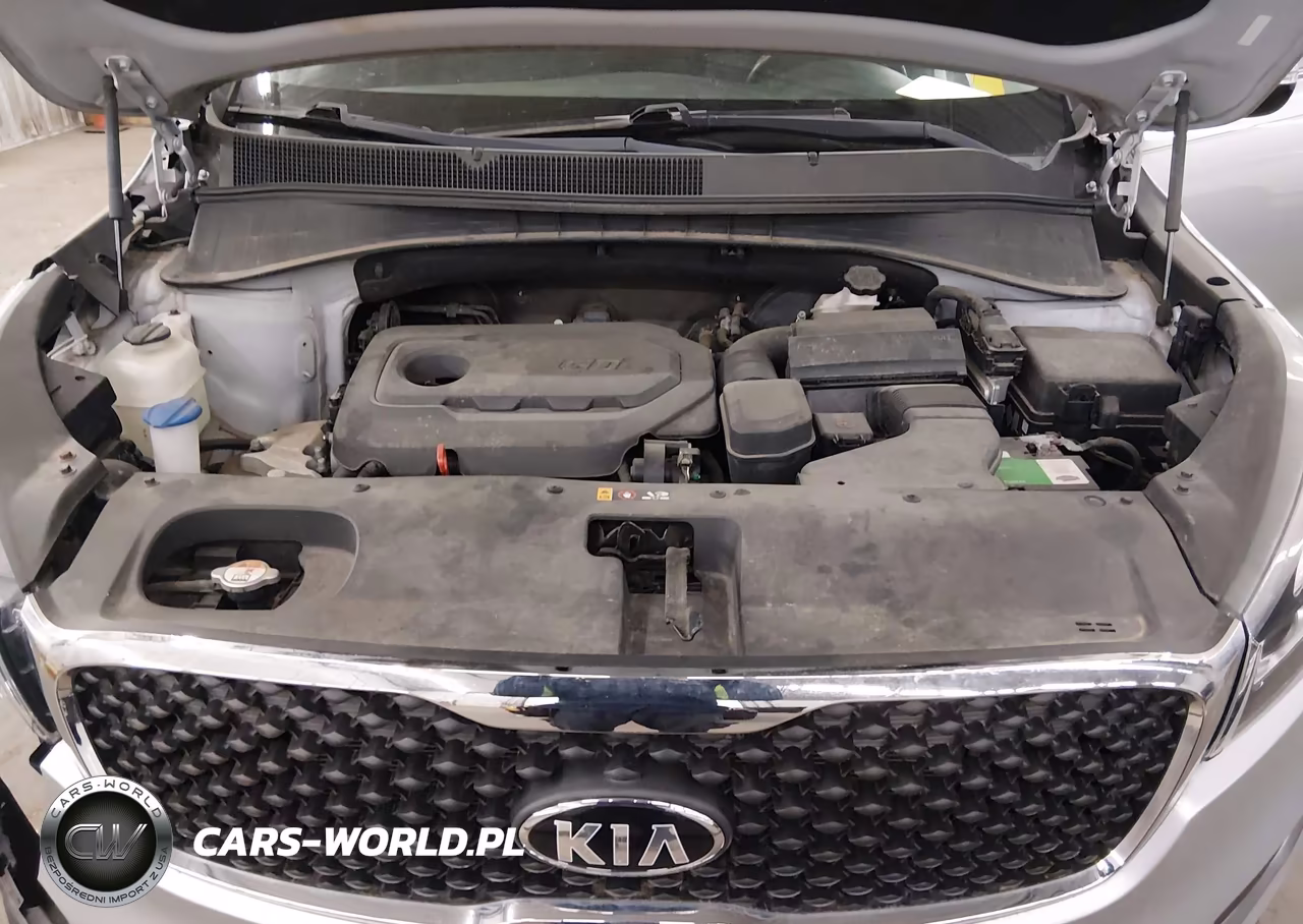2016 Kia Sorento 2.4L Lx VIN:5XYPG4A35GG097310 - 10