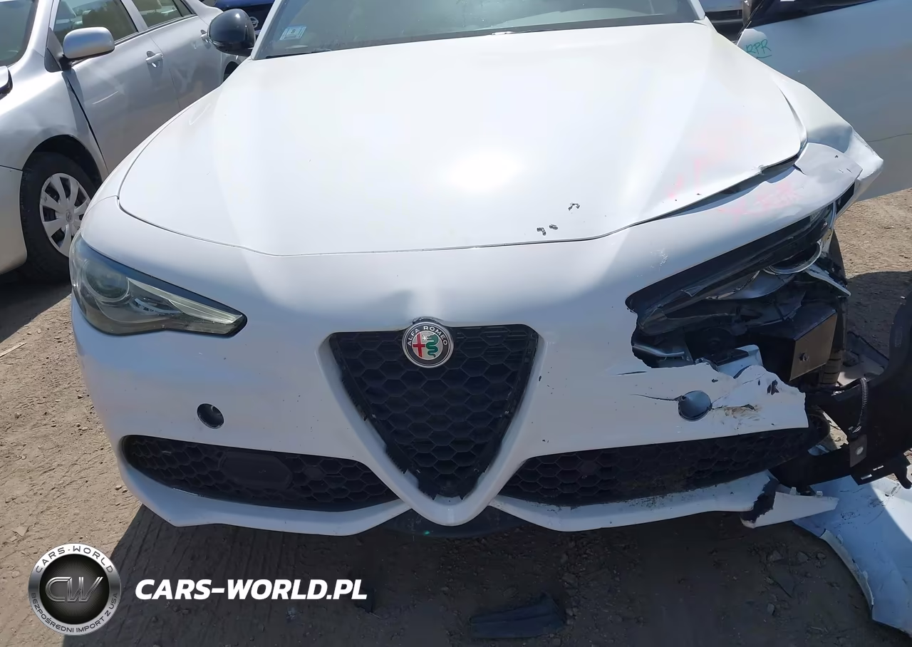 2020 Alfa Romeo Giulia Ti Sport Awd VIN:ZARFANBNXL7636424 - 10