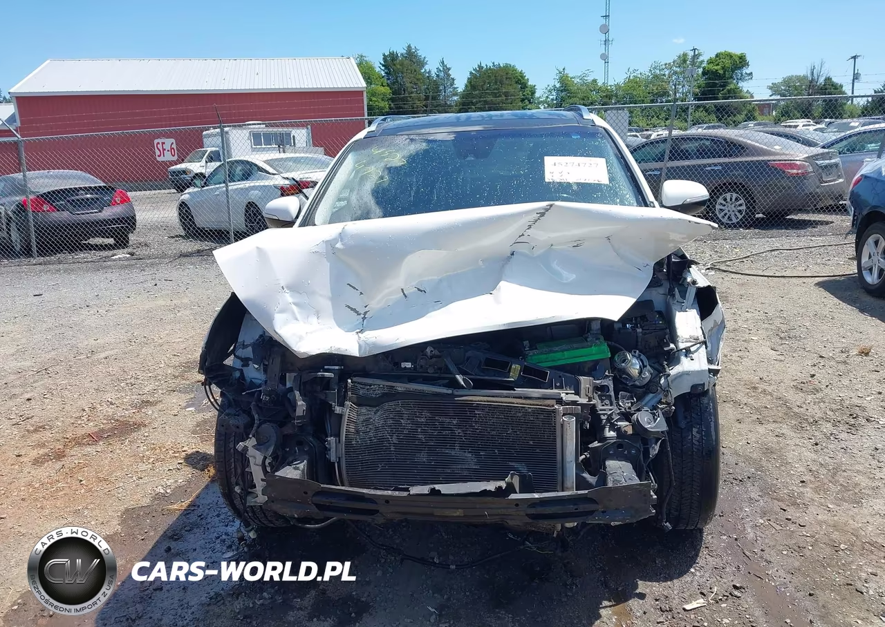 2019 Kia Sorento 3.3L Sx VIN:5XYPKDA56KG534515 - 12