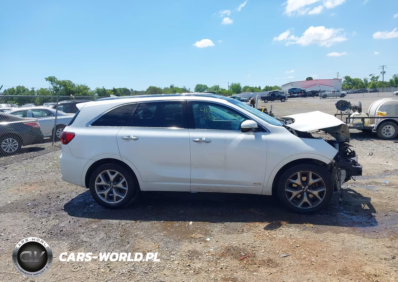2019 Kia Sorento 3.3L Sx VIN:5XYPKDA56KG534515 - 13
