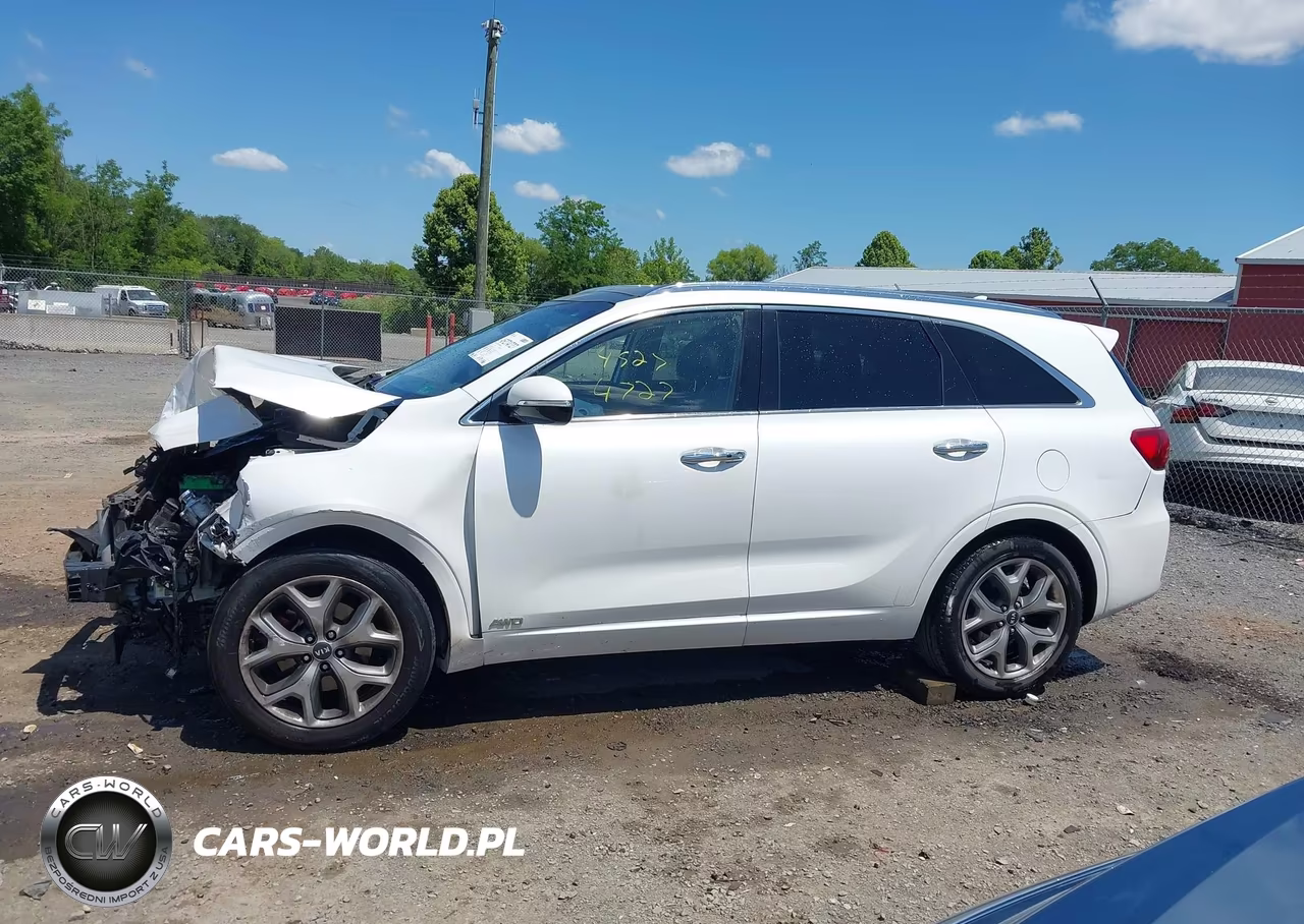 2019 Kia Sorento 3.3L Sx VIN:5XYPKDA56KG534515 - 14