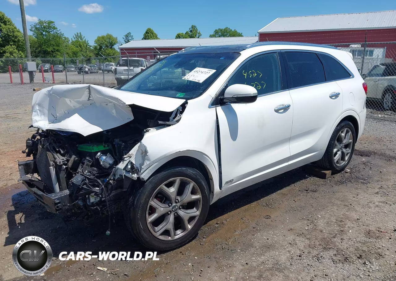 2019 Kia Sorento 3.3L Sx VIN:5XYPKDA56KG534515 - 2