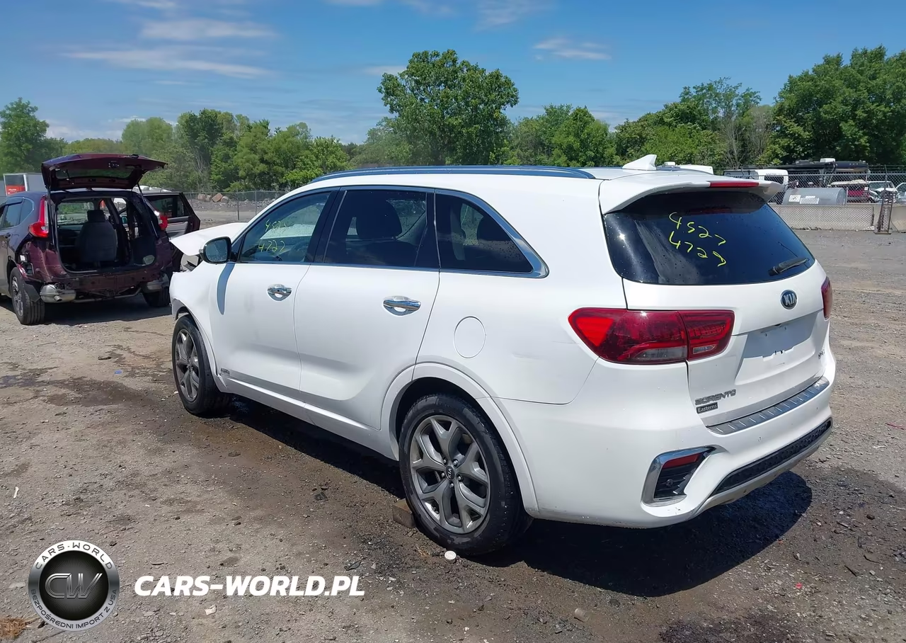 2019 Kia Sorento 3.3L Sx VIN:5XYPKDA56KG534515 - 3