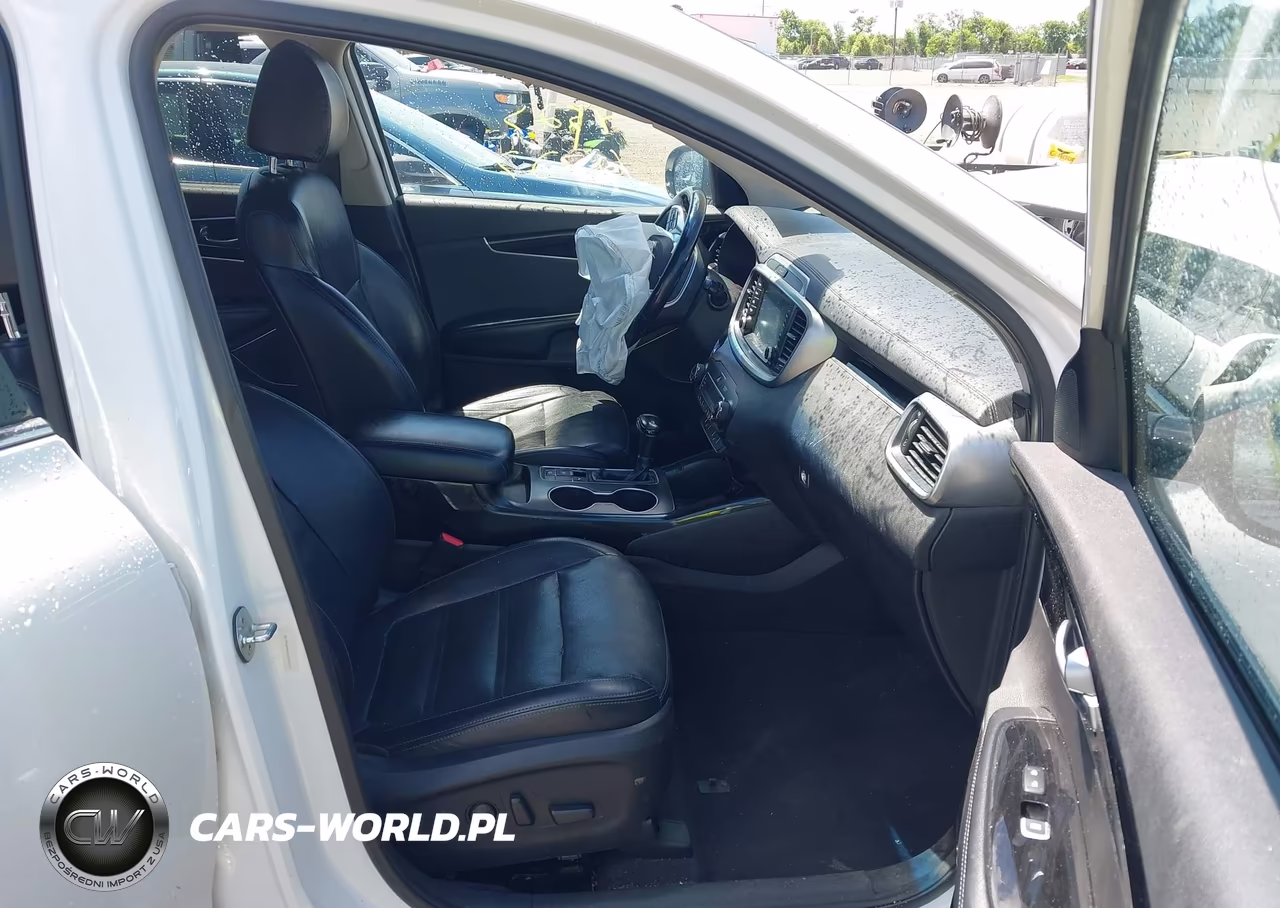 2019 Kia Sorento 3.3L Sx VIN:5XYPKDA56KG534515 - 5