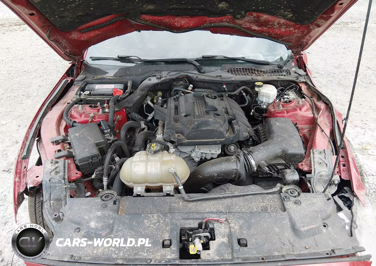 2020 Ford Mustang Ecoboost Fastback VIN:1FA6P8TH0L5174766 - 10
