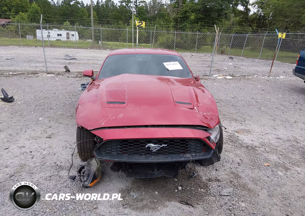2020 Ford Mustang Ecoboost Fastback VIN:1FA6P8TH0L5174766 - 13