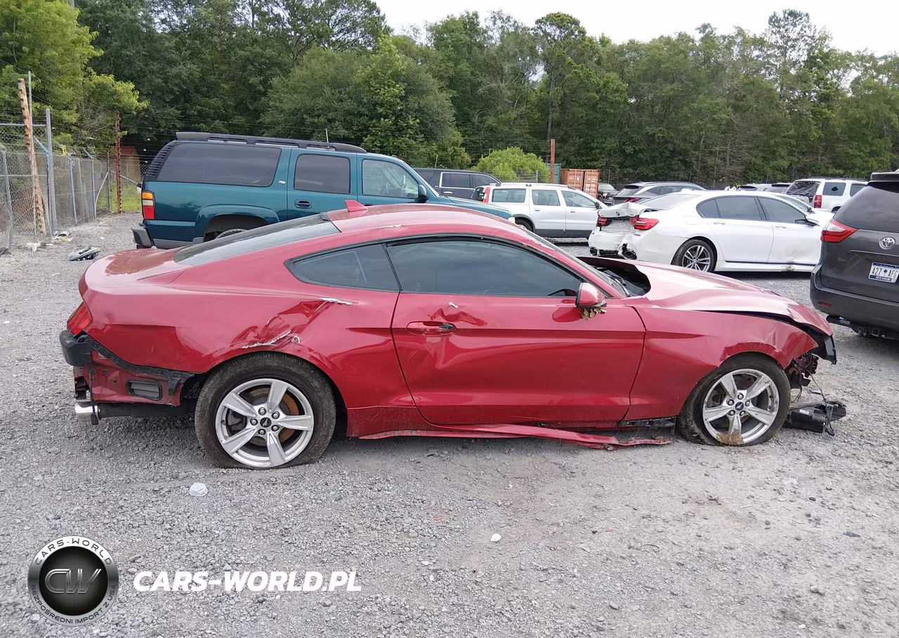 2020 Ford Mustang Ecoboost Fastback VIN:1FA6P8TH0L5174766 - 14