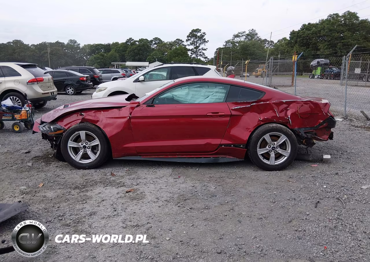 2020 Ford Mustang Ecoboost Fastback VIN:1FA6P8TH0L5174766 - 15
