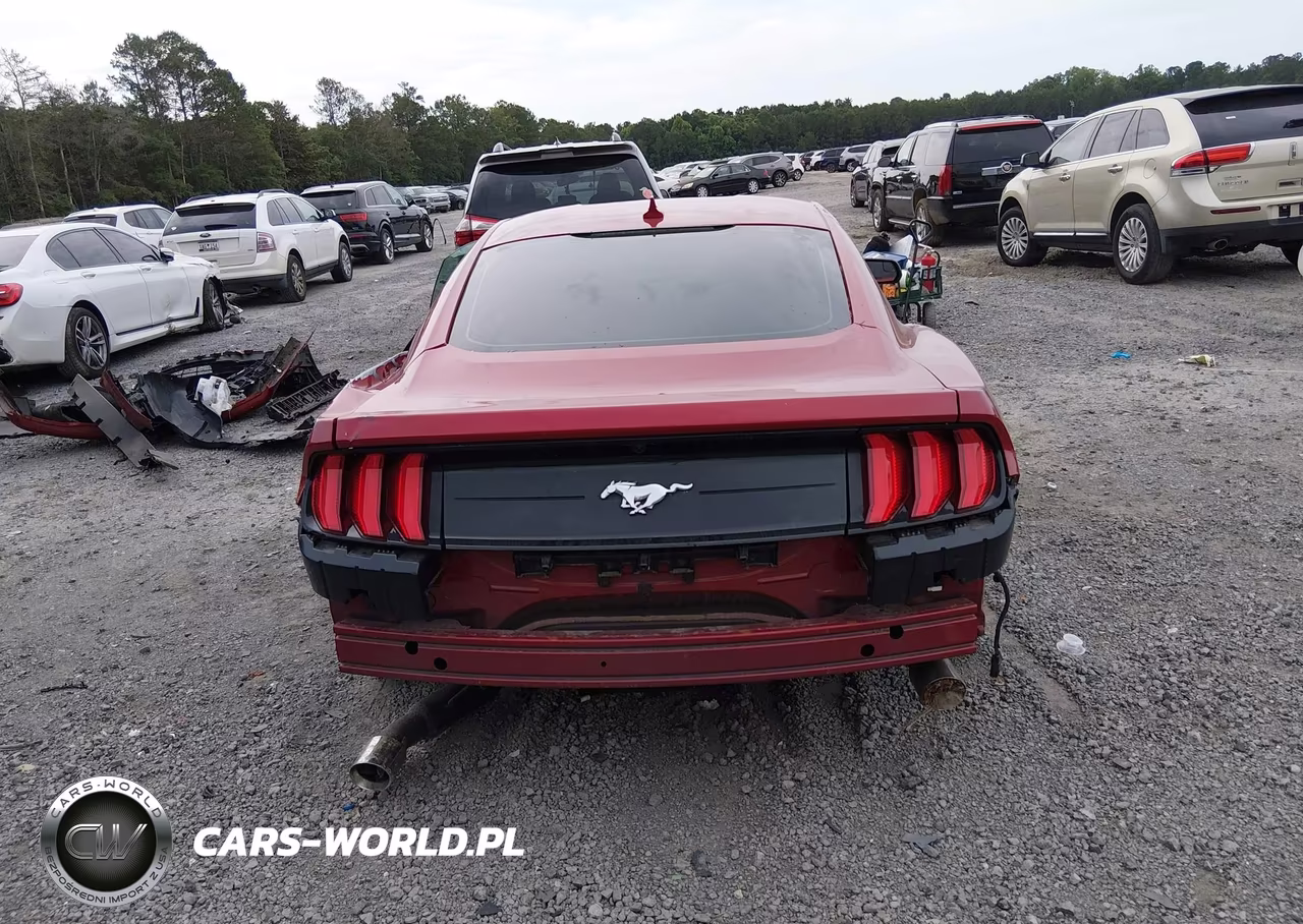 2020 Ford Mustang Ecoboost Fastback VIN:1FA6P8TH0L5174766 - 17