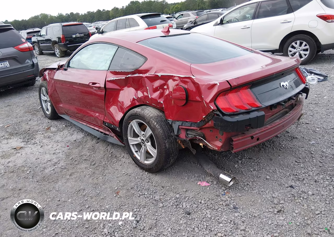 2020 Ford Mustang Ecoboost Fastback VIN:1FA6P8TH0L5174766 - 3