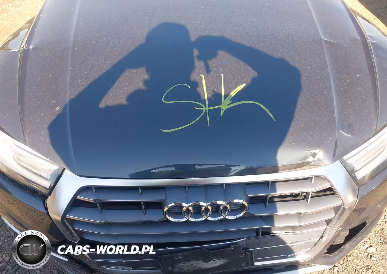2018 Audi Q5 2.0T Premium-2.0T Tech Premium VIN:WA1ANAFY8J2248182 - 10