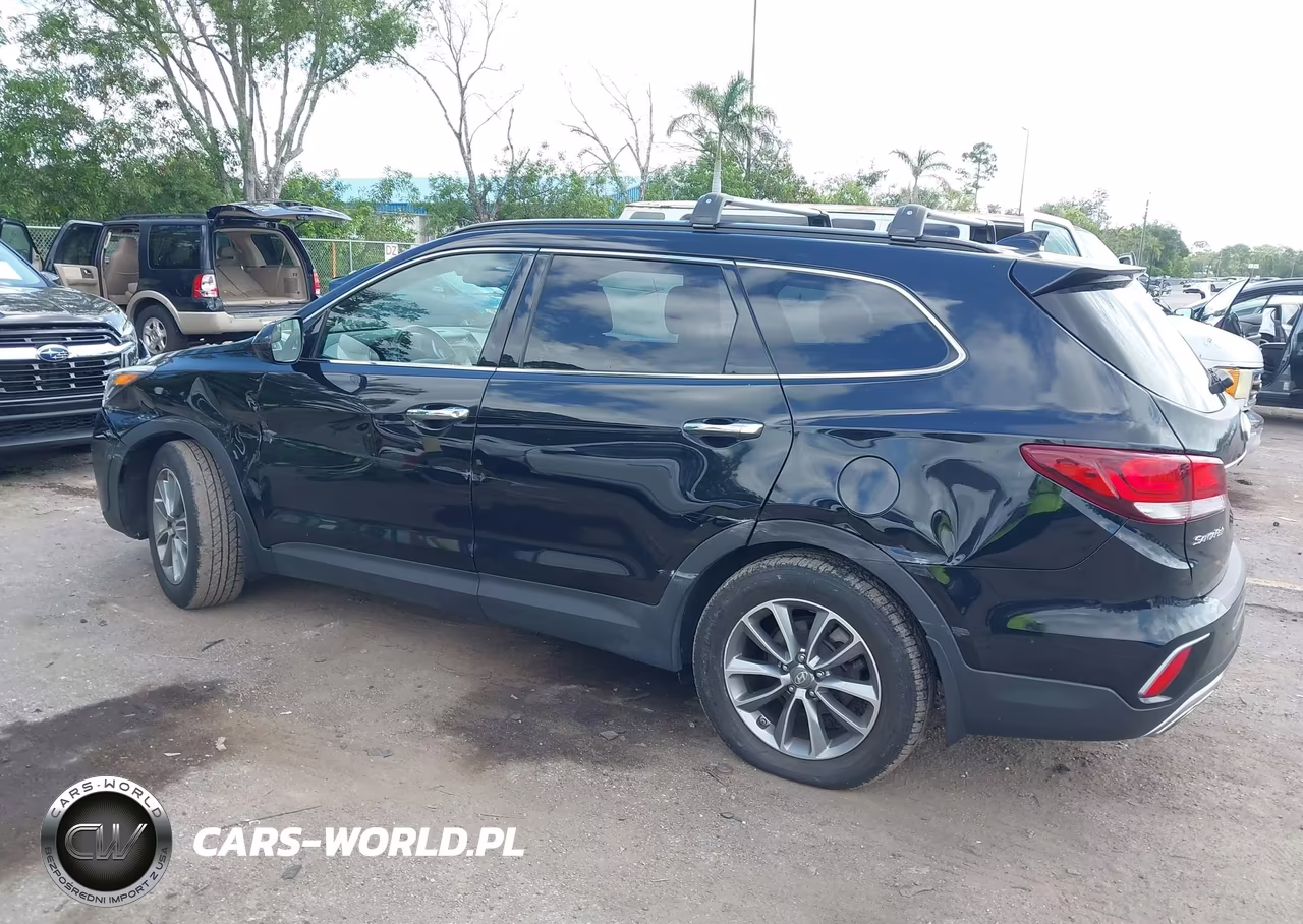 2017 Hyundai Santa Fe Se VIN:KM8SM4HF4HU252850 - 3