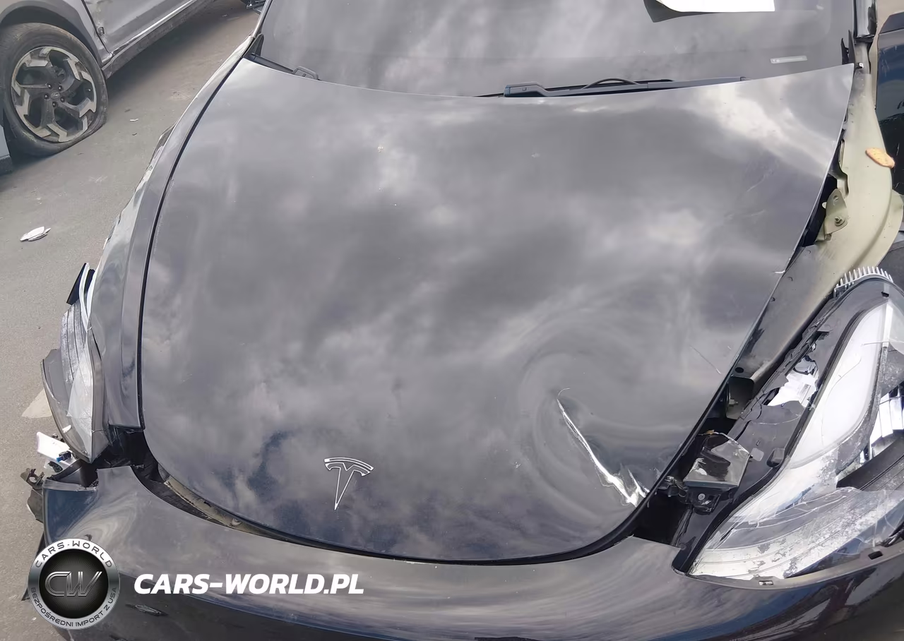 2019 Tesla Model 3 Long Range-Performance VIN:5YJ3E1EB5KF441576 - 10
