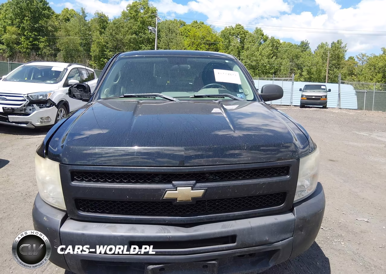 2011 Chevrolet Silverado 1500 Work Truck VIN:1GCRCPEX9BZ307646 - 12