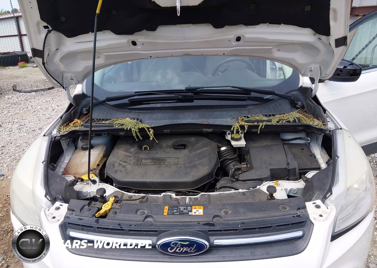 2013 Ford Escape Se VIN:1FMCU0G90DUC59314 - 10