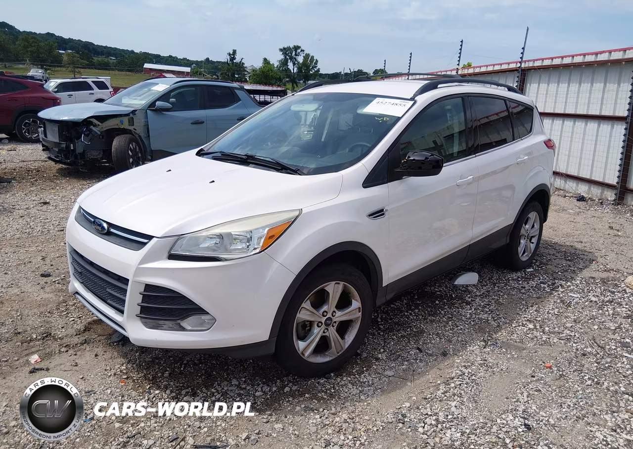 2013 Ford Escape Se VIN:1FMCU0G90DUC59314 - 2
