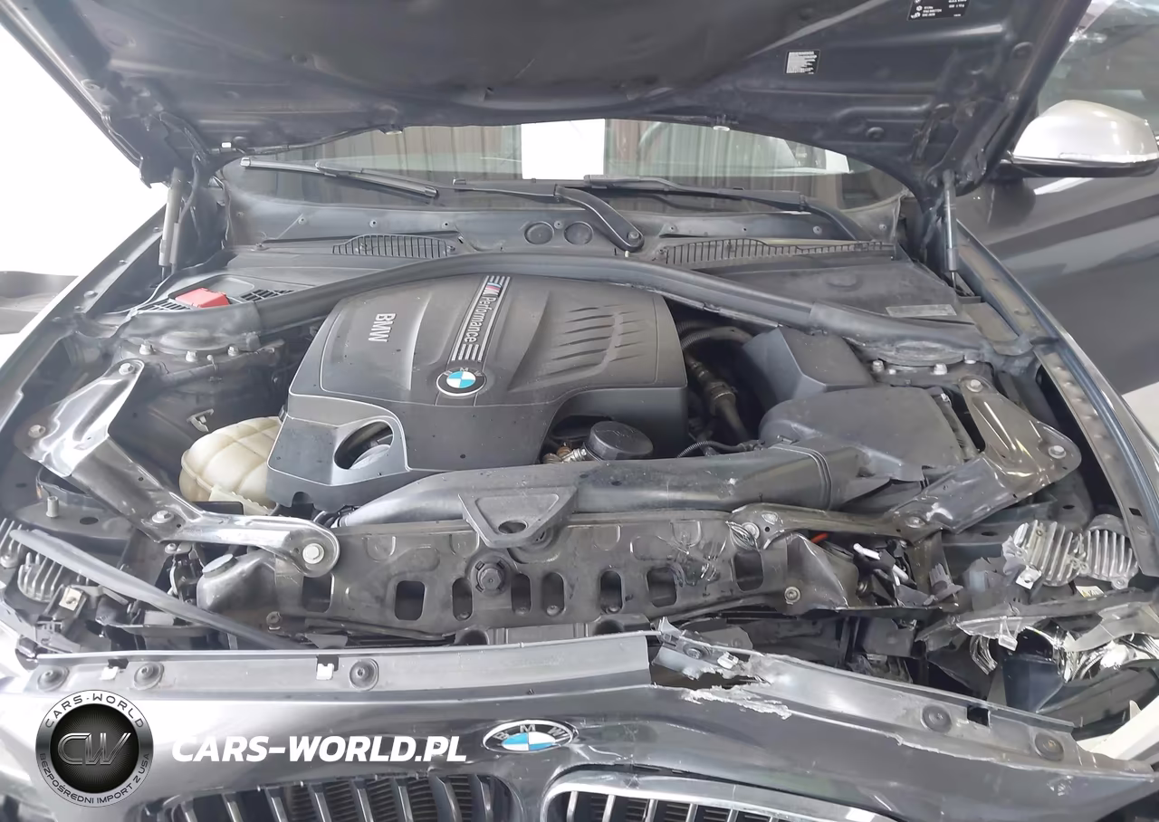 2016 BMW M235I VIN:WBA1M1C58GV393939 - 10