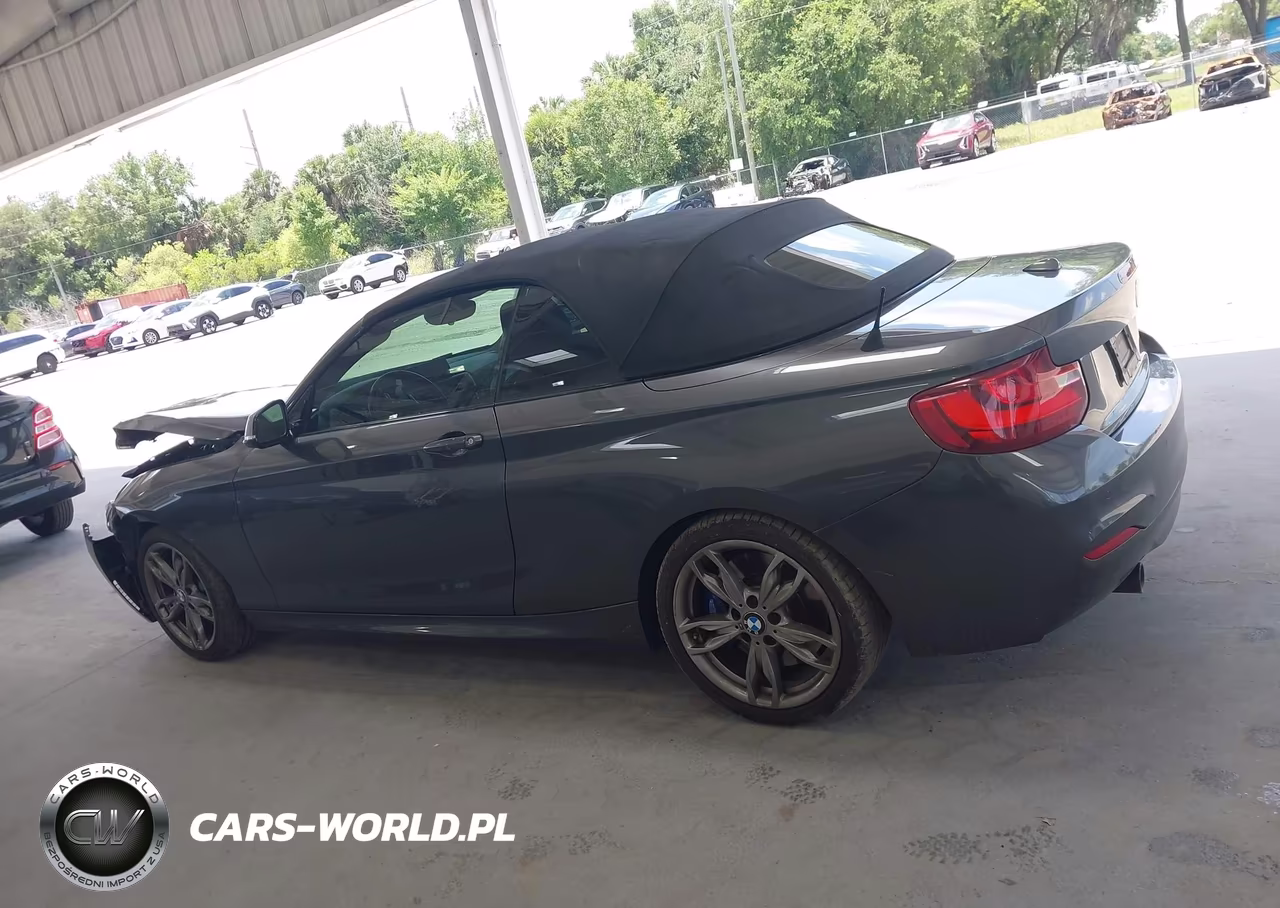 2016 BMW M235I VIN:WBA1M1C58GV393939 - 14