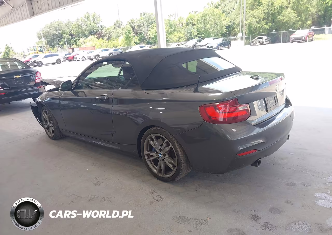 2016 BMW M235I VIN:WBA1M1C58GV393939 - 3