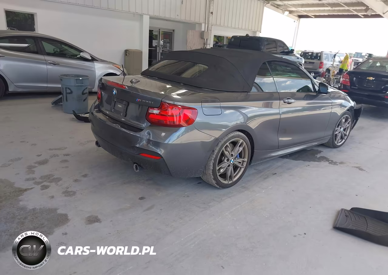 2016 BMW M235I VIN:WBA1M1C58GV393939 - 4