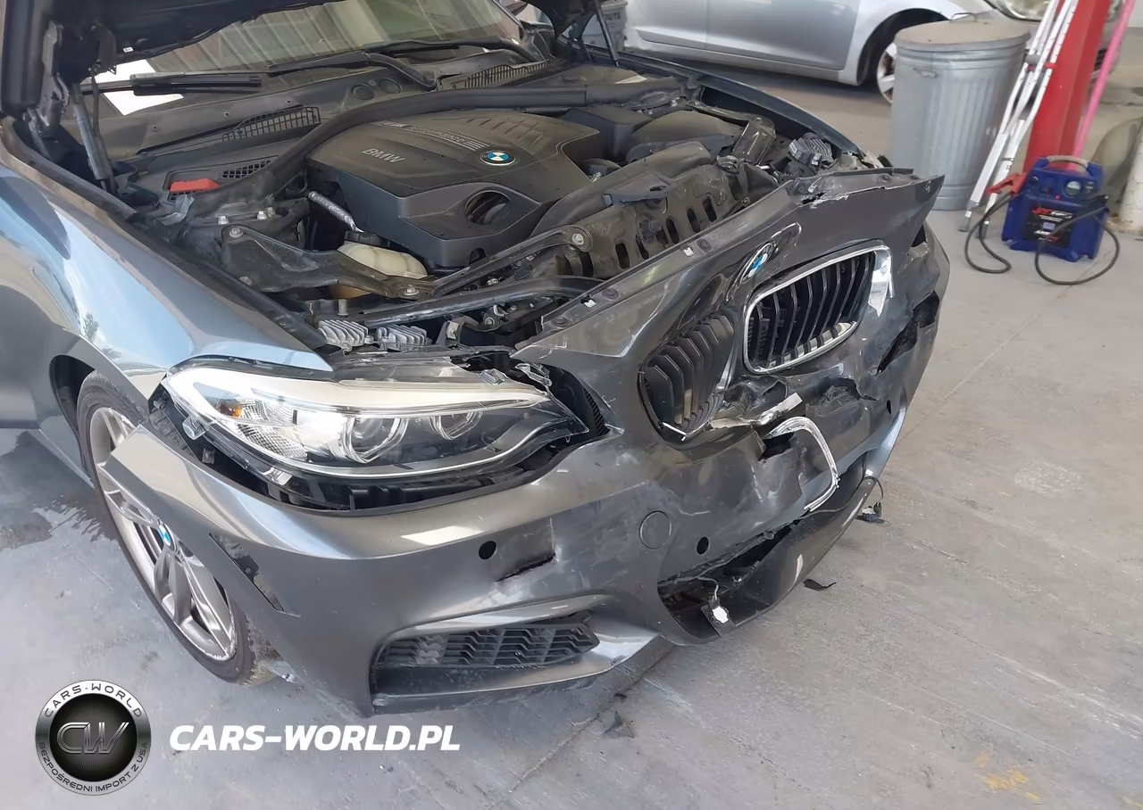 2016 BMW M235I VIN:WBA1M1C58GV393939 - 6