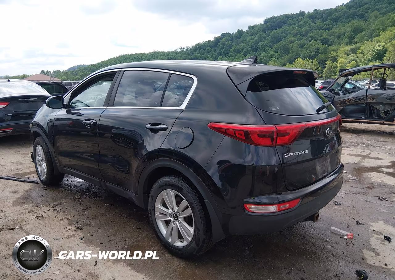2017 Kia Sportage Lx VIN:KNDPMCAC7H7288096 - 3