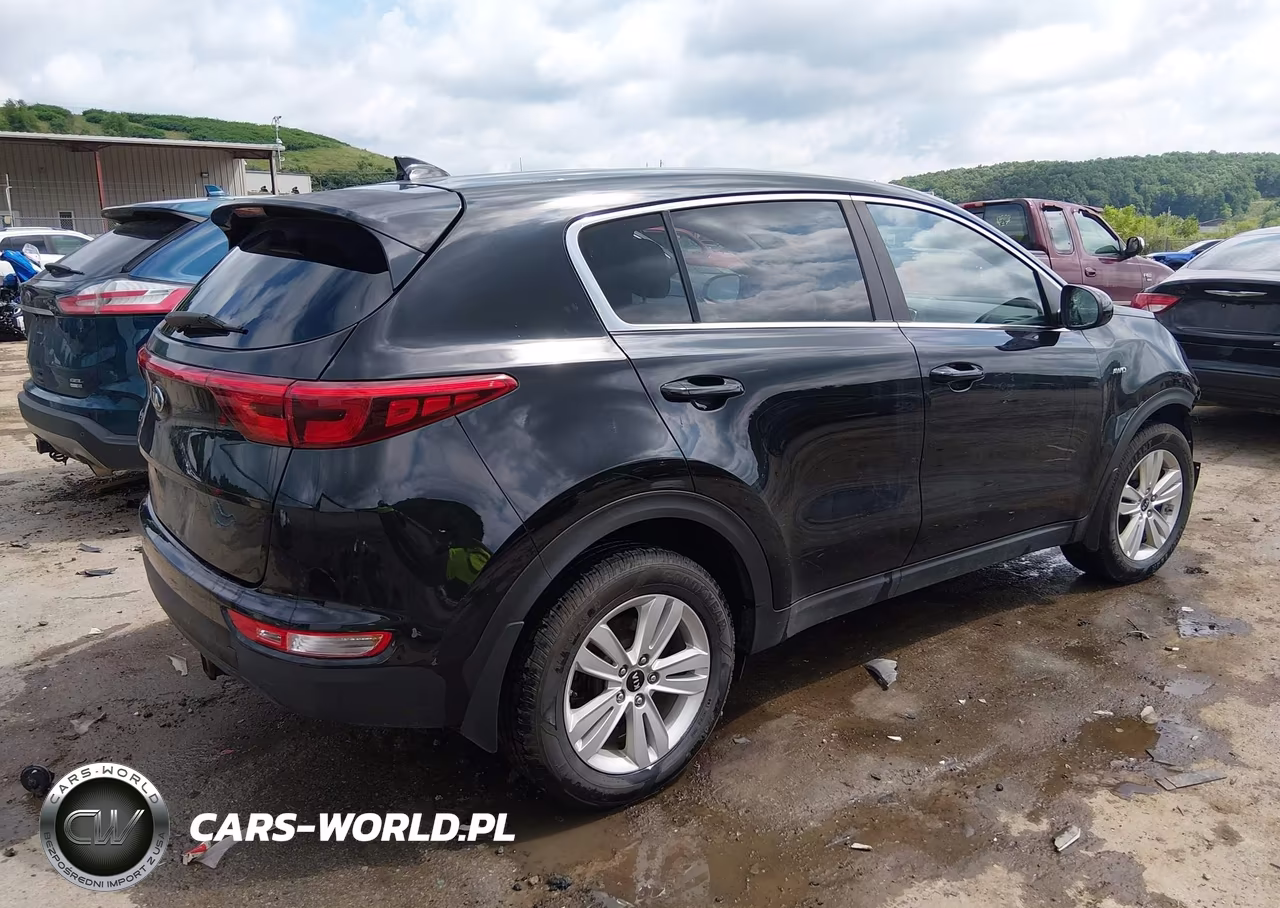 2017 Kia Sportage Lx VIN:KNDPMCAC7H7288096 - 4