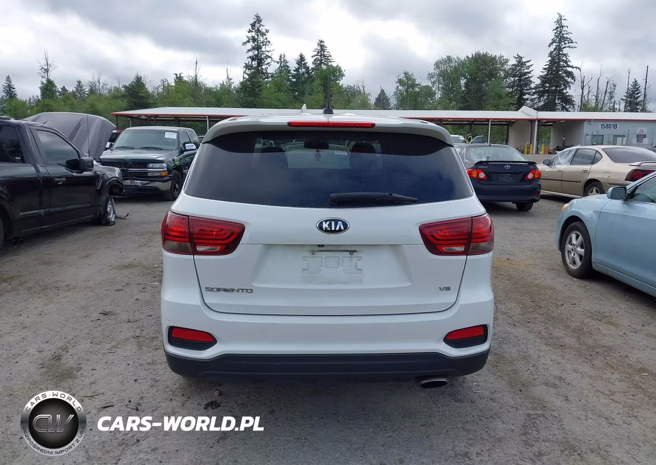 2019 Kia Sorento 3.3L Lx VIN:5XYPGDA54KG472694 - 16