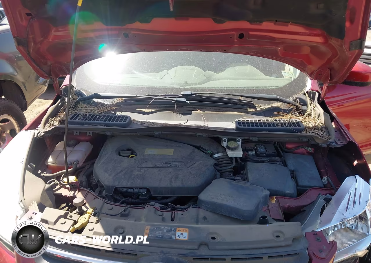 2013 Ford Escape Se VIN:1FMCU0GX5DUD33499 - 10