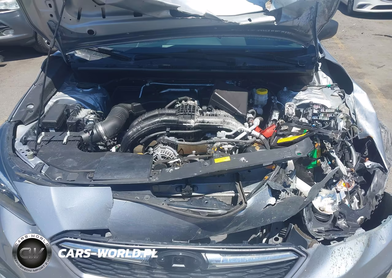 2019 Subaru Impreza 2.0I VIN:4S3GTAA63K1745384 - 10