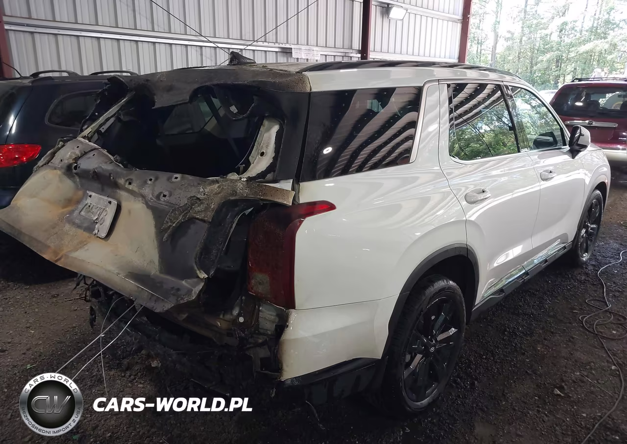 2025 Hyundai Palisade Xrt VIN:KM8R3DGE5SU946898 - 4