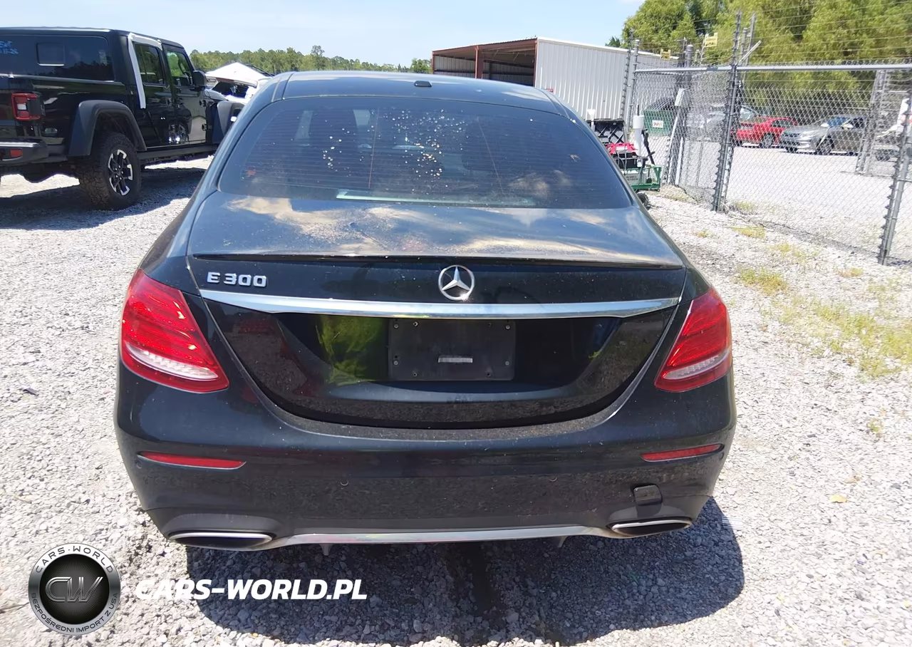2017 Mercedes-Benz E 300 VIN:WDDZF4JB9HA106214 - 16