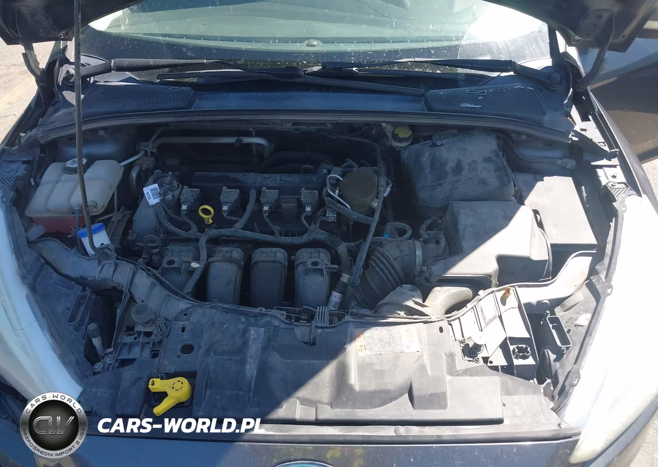 2015 Ford Focus Se VIN:1FADP3K2XFL350942 - 10