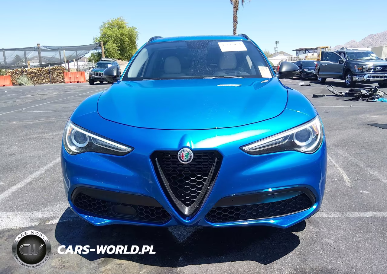 2019 Alfa Romeo Stelvio Rwd VIN:ZASPAJAN5K7C48774 - 12