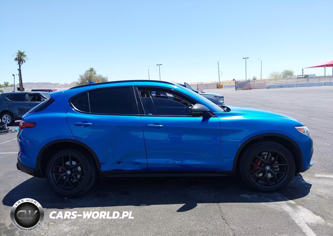 2019 Alfa Romeo Stelvio Rwd VIN:ZASPAJAN5K7C48774 - 13