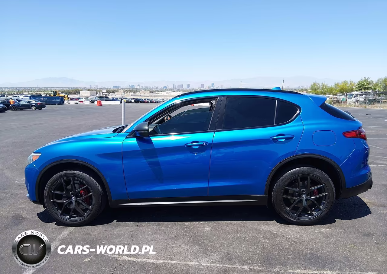 2019 Alfa Romeo Stelvio Rwd VIN:ZASPAJAN5K7C48774 - 14