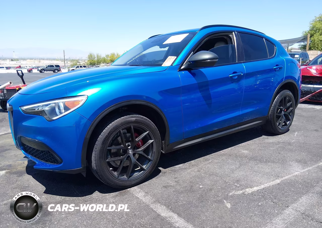 2019 Alfa Romeo Stelvio Rwd VIN:ZASPAJAN5K7C48774 - 2